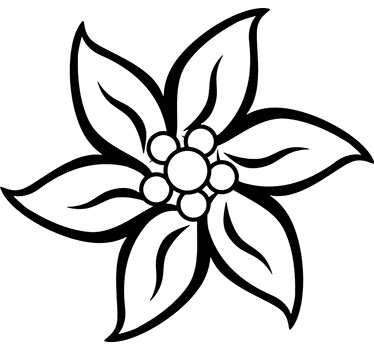 Sticker fleur Edelweiss - TenStickers