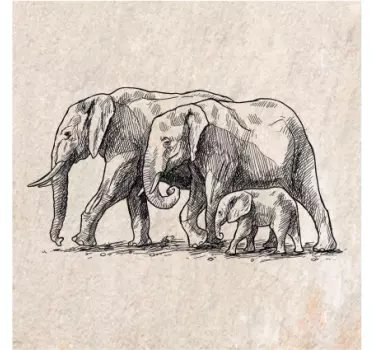Sticker carrelage croquis d'éléphants - TenStickers