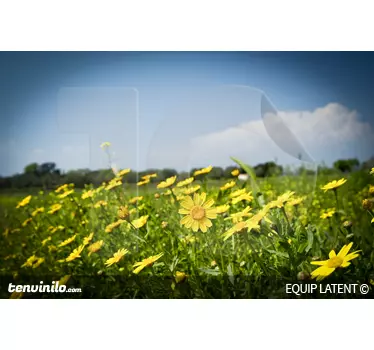 Photo murale champ de fleurs - TenStickers