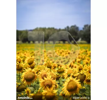 Photo murale champ de tournesols - TenStickers