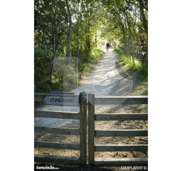 Sticker mural nature chemin de promenade - TenStickers