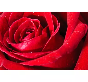 Photo murale rose rouge - TenStickers