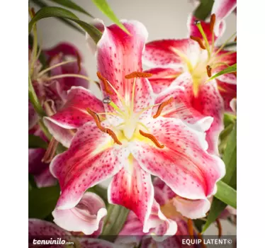 photo murale zoom fleur - TenStickers