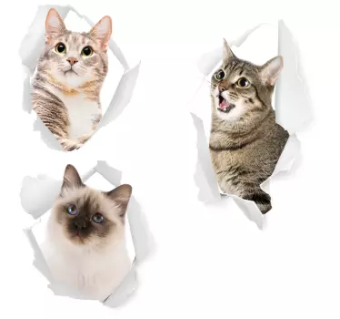 Sticker trompe l'œil chats 3D - TenStickers