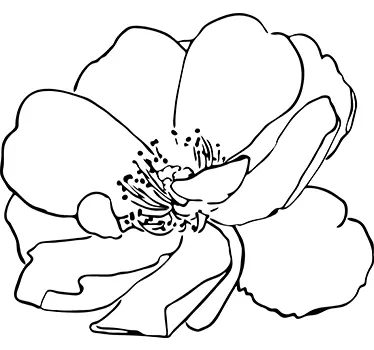 Sticker fleur élégant - TenStickers