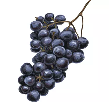 Sticker grappe de raisin aquarelle - TenStickers