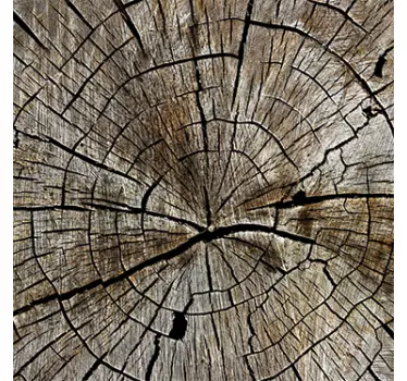 Sticker meuble Ikea LACK effet arbre - TenStickers