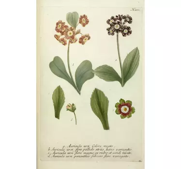 sticker mural plantes fleurs - TenStickers