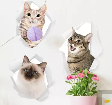 Sticker trompe l'œil chats 3D - TenStickers