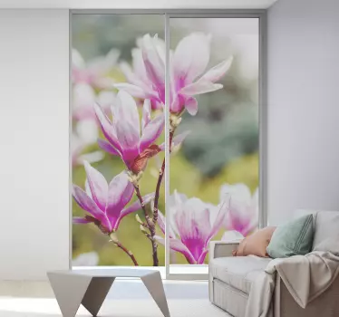 Sticker fenêtre fleurs de magnolias - TenStickers