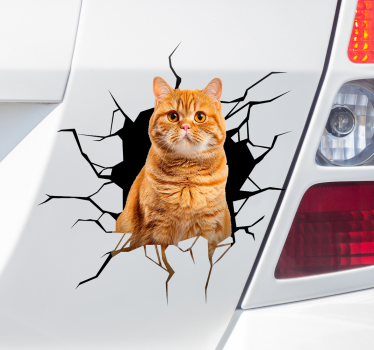 Sticker voiture personnalisé animal trompe-l'œil - TenStickers