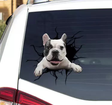 Sticker voiture personnalisé chien qui casse la vitre - TenStickers