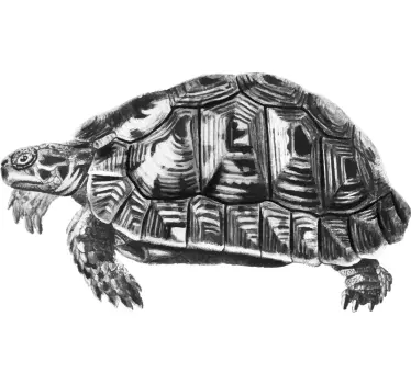 T-shirts instantanés de photographie de tortue - TenStickers