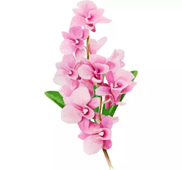 T-shirts orchidees roses magnifiques - TenStickers