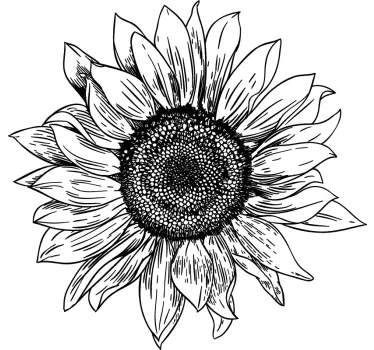 T-shirts détails de fleur de tournesol - TenStickers