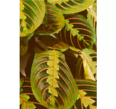 T-shirts motif feuille verte - TenStickers