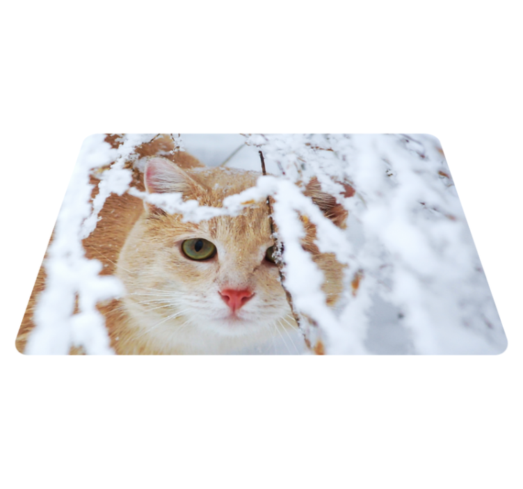 Tapis vinyle animal chat avec stalactite - TenStickers