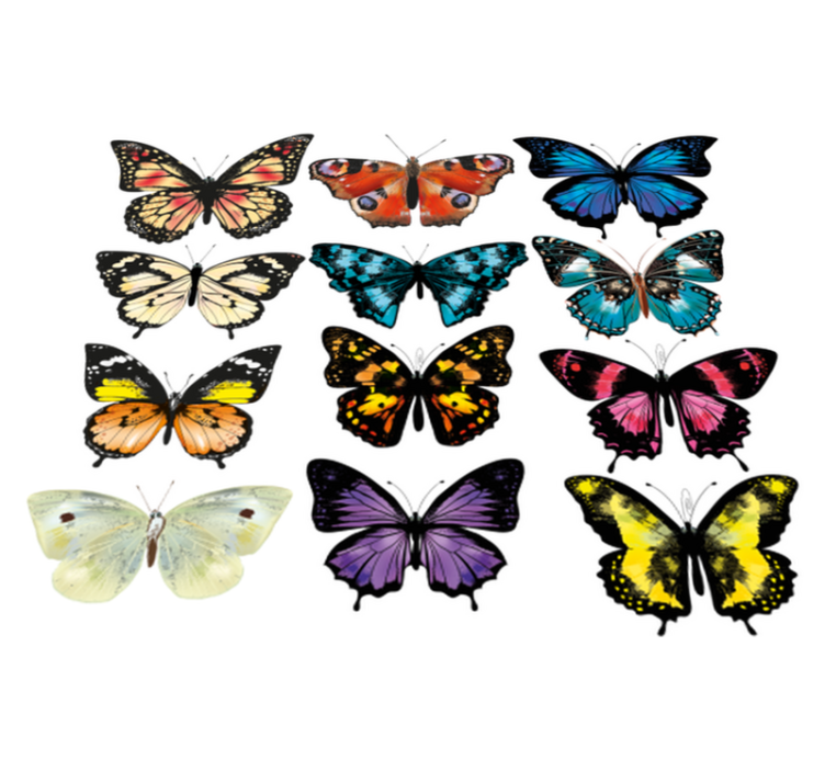 Tapis vinyle animal illustration papillon - TenStickers