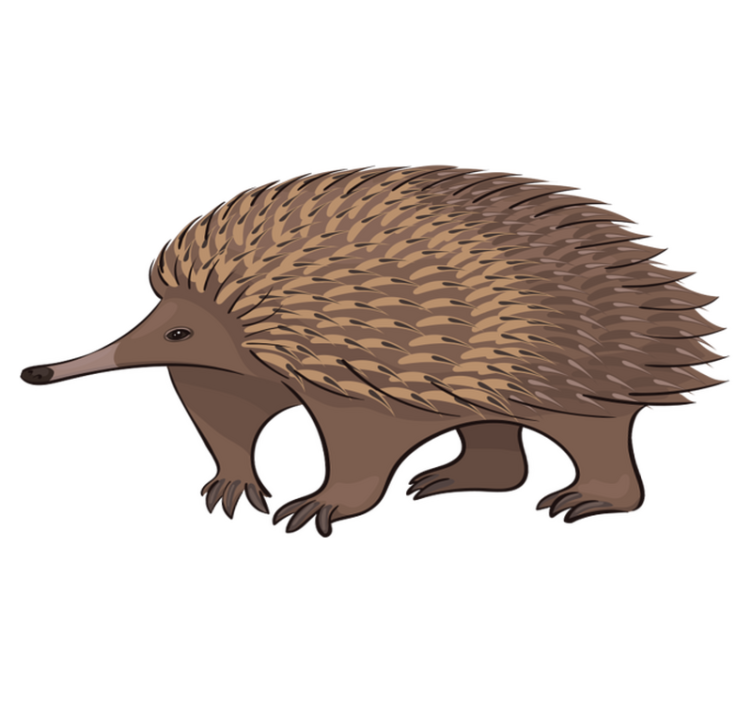 Tapis vinyle animal personnage de hérisson amical - TenStickers