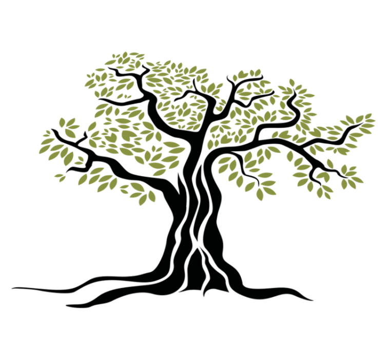 Tapis vinyle plantes arbre olivier noir feuillage vert - TenStickers