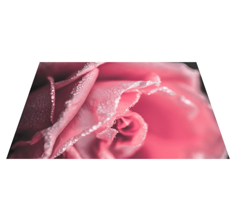 Tapis vinyle plantes pétales de rose rosés - TenStickers