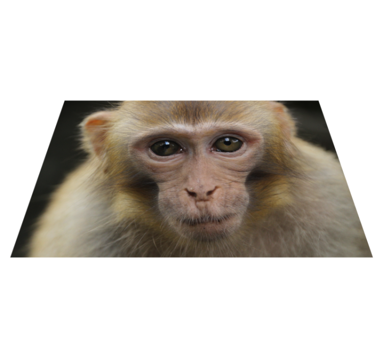 Tapis vinyle animal visage de bébé singe - TenStickers