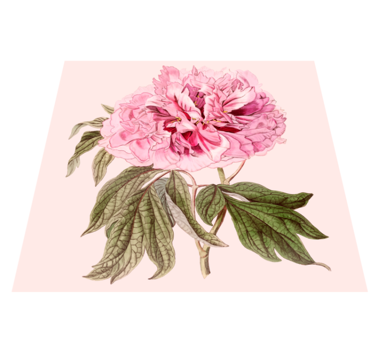 Tapis vinyle plantes fleur de pivoine rose - TenStickers