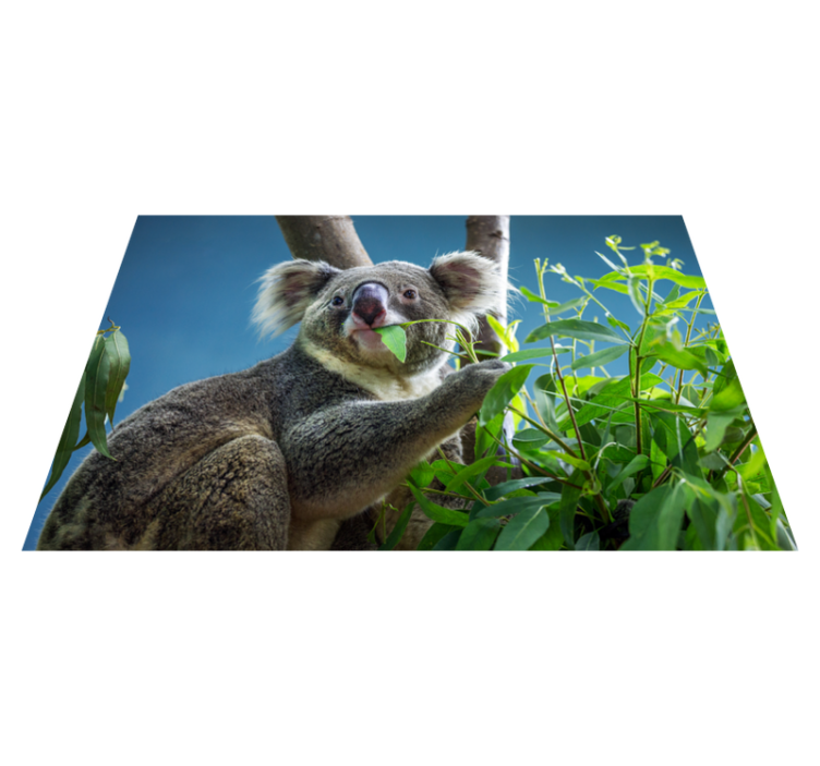 Tapis vinyle animal koala dans la nature - TenStickers