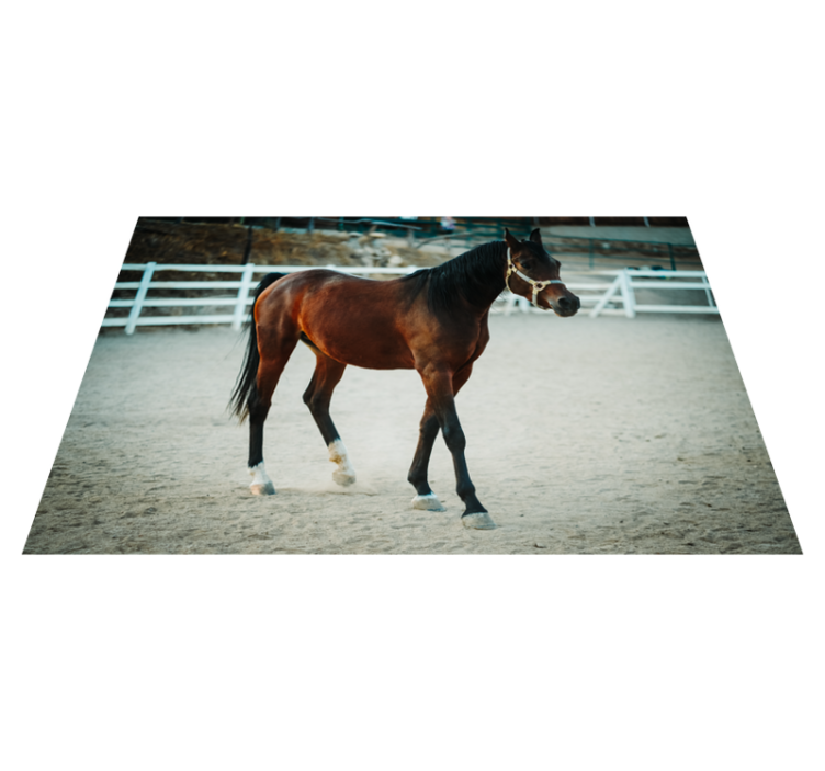 Tapis vinyle animal portrait de cheval majestueux - TenStickers