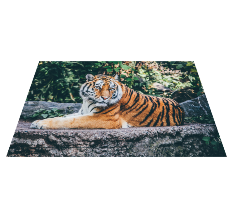 Tapis vinyle salle de bain animal tigre - TenStickers