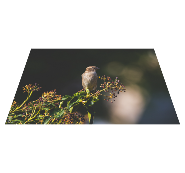 Tapis vinyle animal Animal oiseau sur plante - TenStickers