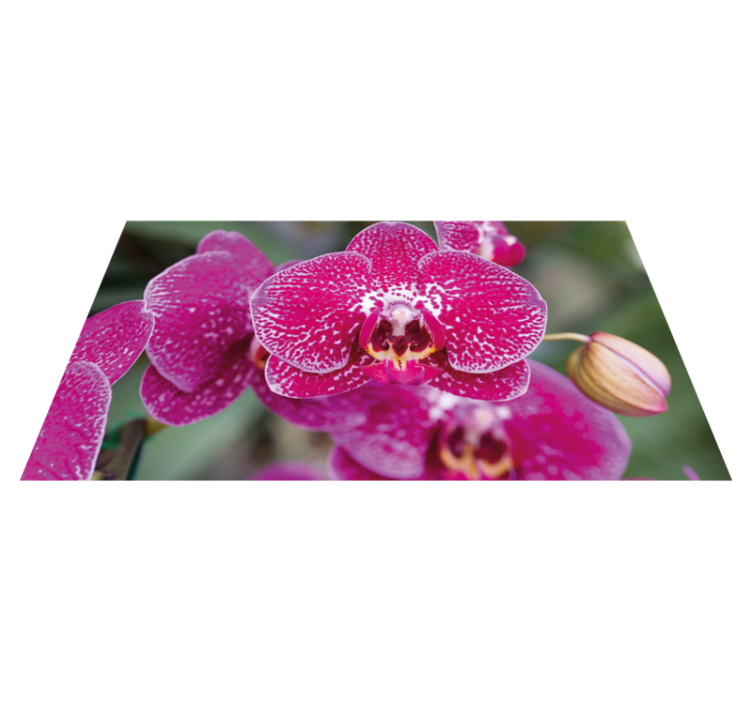 Tapis vinyle plantes fleurs d'orchidées vibrantes - TenStickers