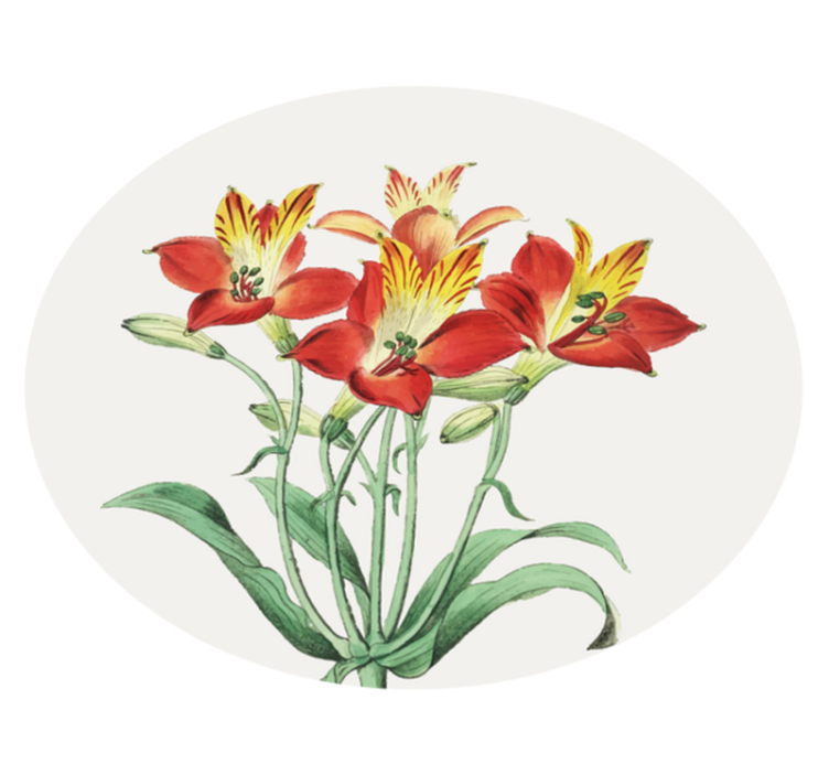 Tapis vinyle plantes fleurs rouges vives - TenStickers