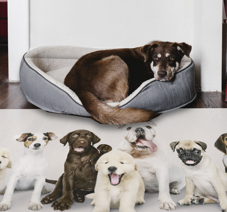 Tapis vinyle animaux chiens dans une ligne - TenStickers