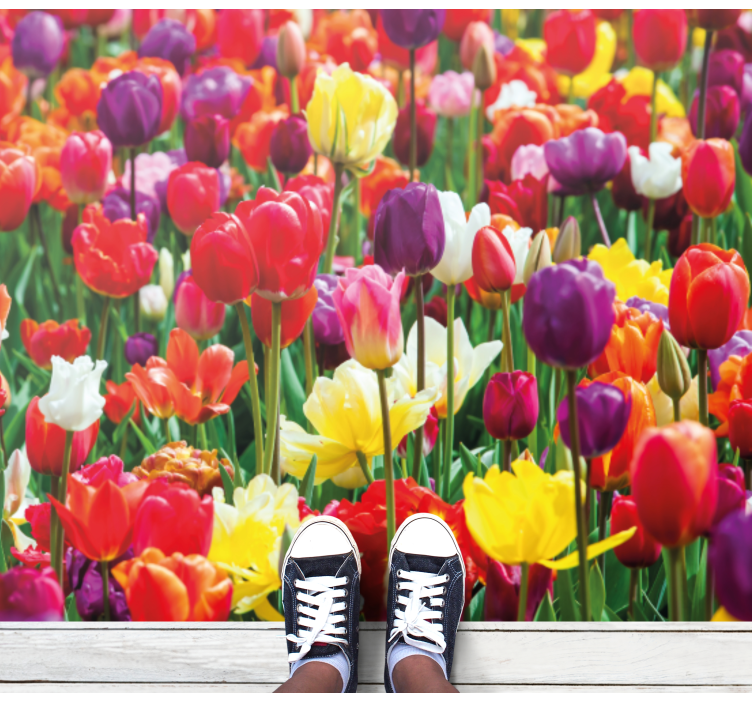 Tapis vinyle plantes composition de tulipes vibrantes - TenStickers