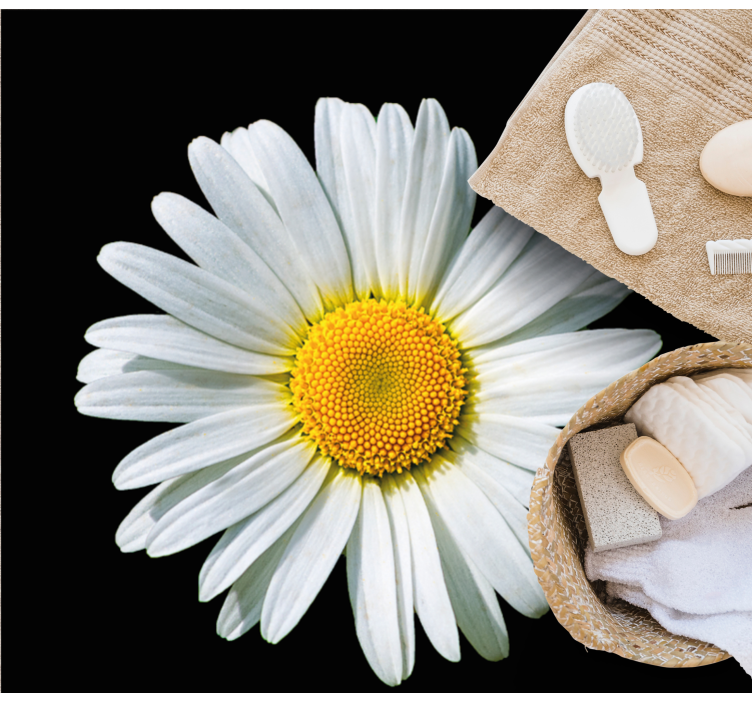 Tapis vinyle plantes fleur de marguerite - TenStickers