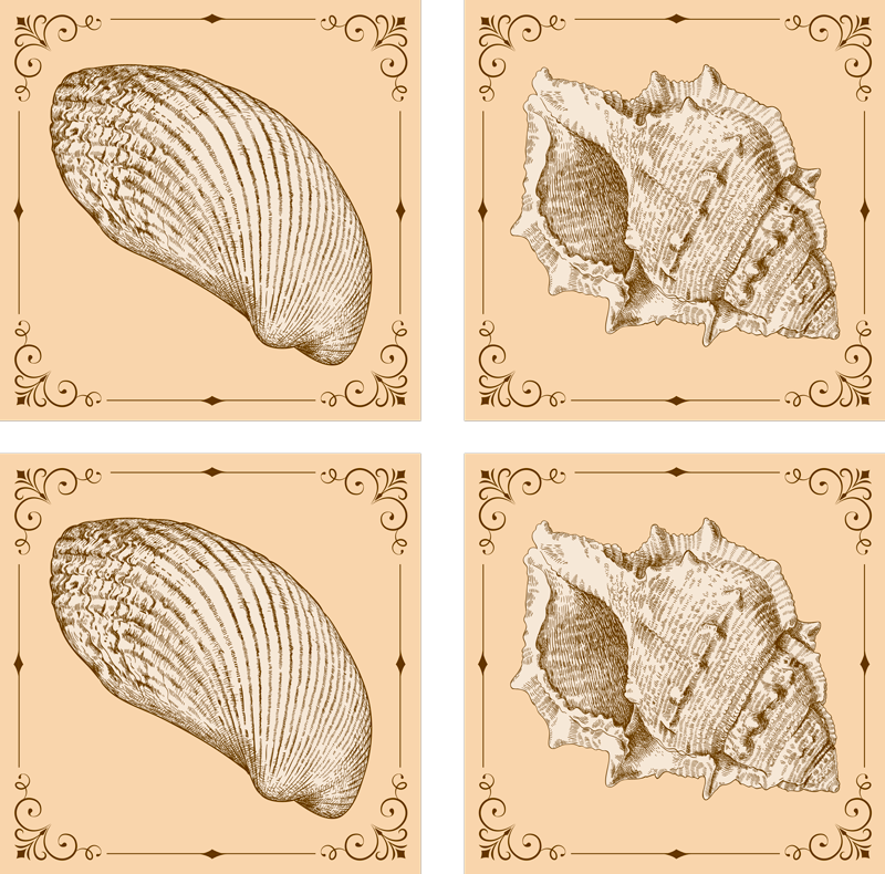 Tapis vinyle animal coquillages vintage - TenStickers