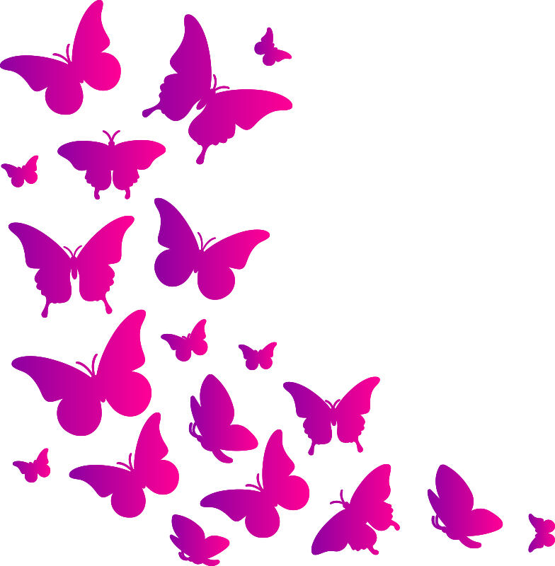 Tapis vinyle animal papillon de fenêtre - TenStickers