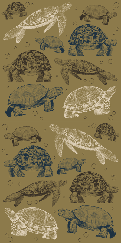 Tapis vinyle animal tortues sur fond beige - TenStickers