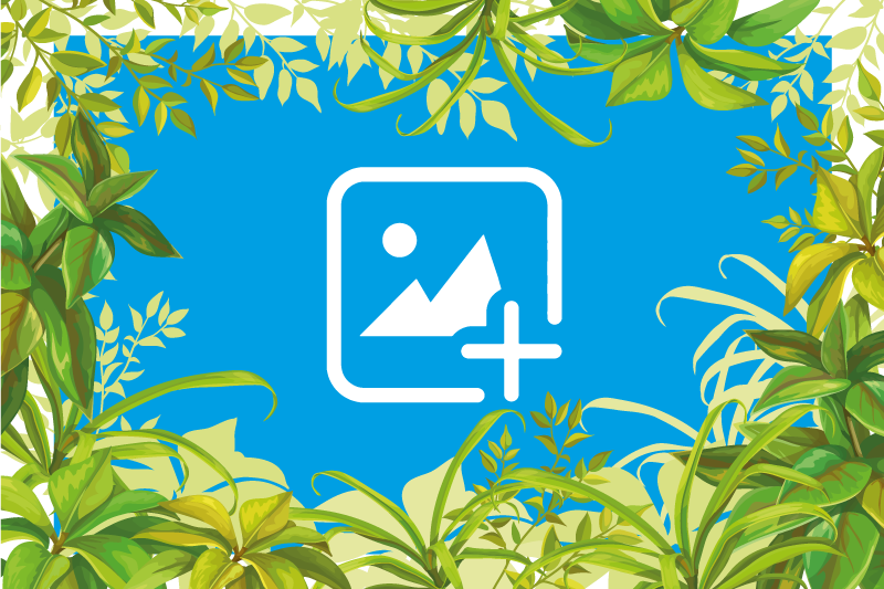 Tapis vinyle animal chat parmi la verdure - TenStickers