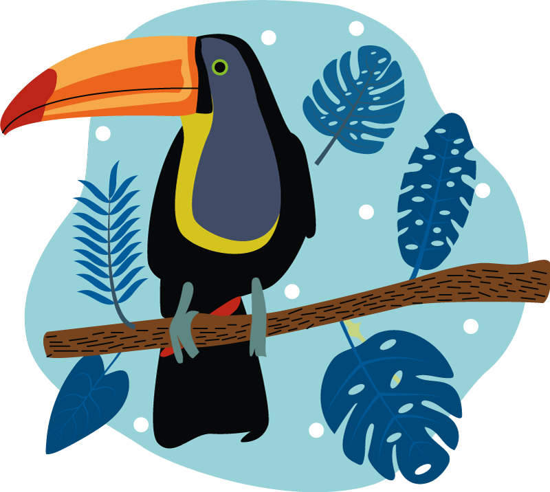 Tapis vinyle animal toucan tropical perché - TenStickers