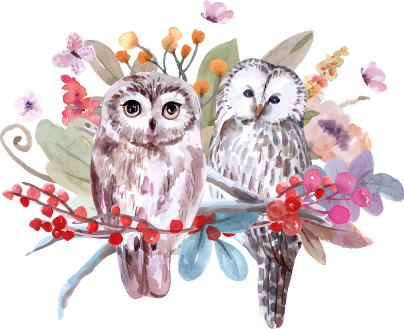 Tapis vinyle animal hiboux dans la nature - TenStickers