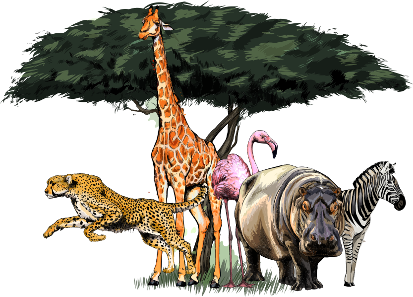 Tapis vinyle animal safari en famille de girafes - TenStickers