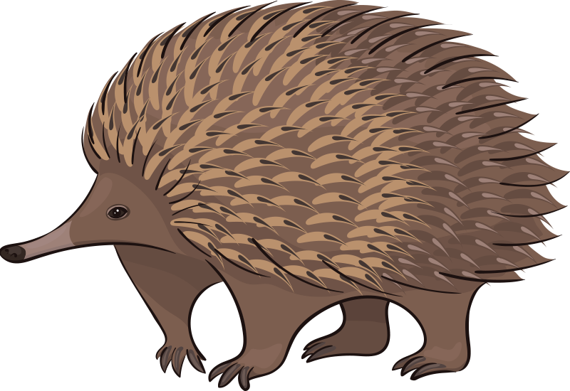 Tapis vinyle animal personnage de hérisson amical - TenStickers