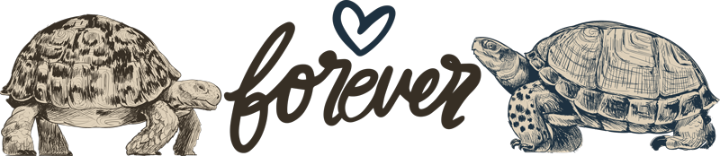 Tapis vinyle animal citation d'amour éternelle - TenStickers