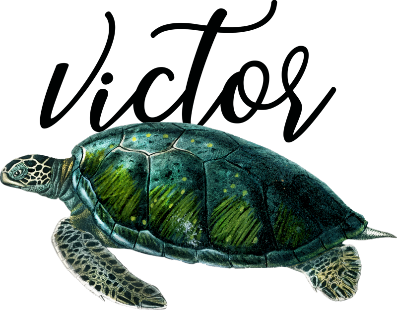 Tapis vinyle animal design tortue personnalisable - TenStickers