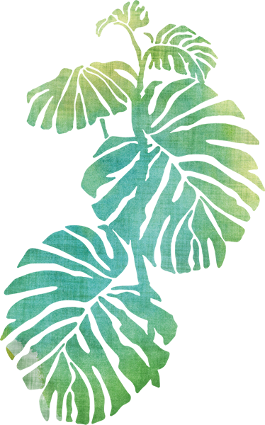 Tapis vinyle plantes aquarelle côte d'adam - TenStickers