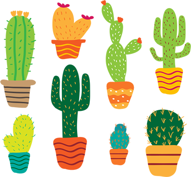 Tapis vinyle plantes pack de cactus colorés - TenStickers
