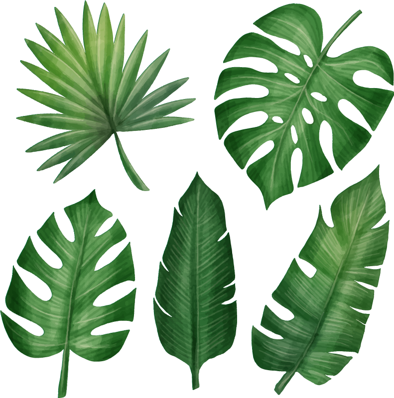 Tapis vinyle plantes collection de feuilles tropicales réalistes - TenStickers