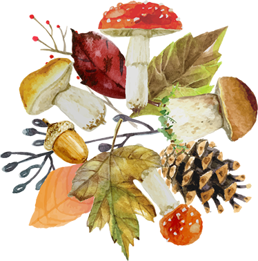 Tapis vinyle plantes éléments d'automne - TenStickers